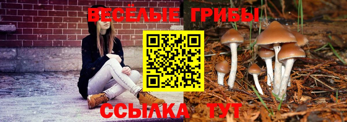 Артём  Галлюциногенные грибы GOLDEN TEACHER  Вход с VPN 